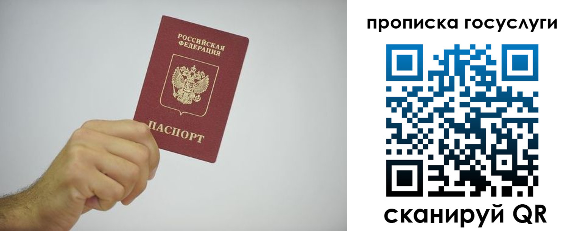 прописка законно в Звенигороде
